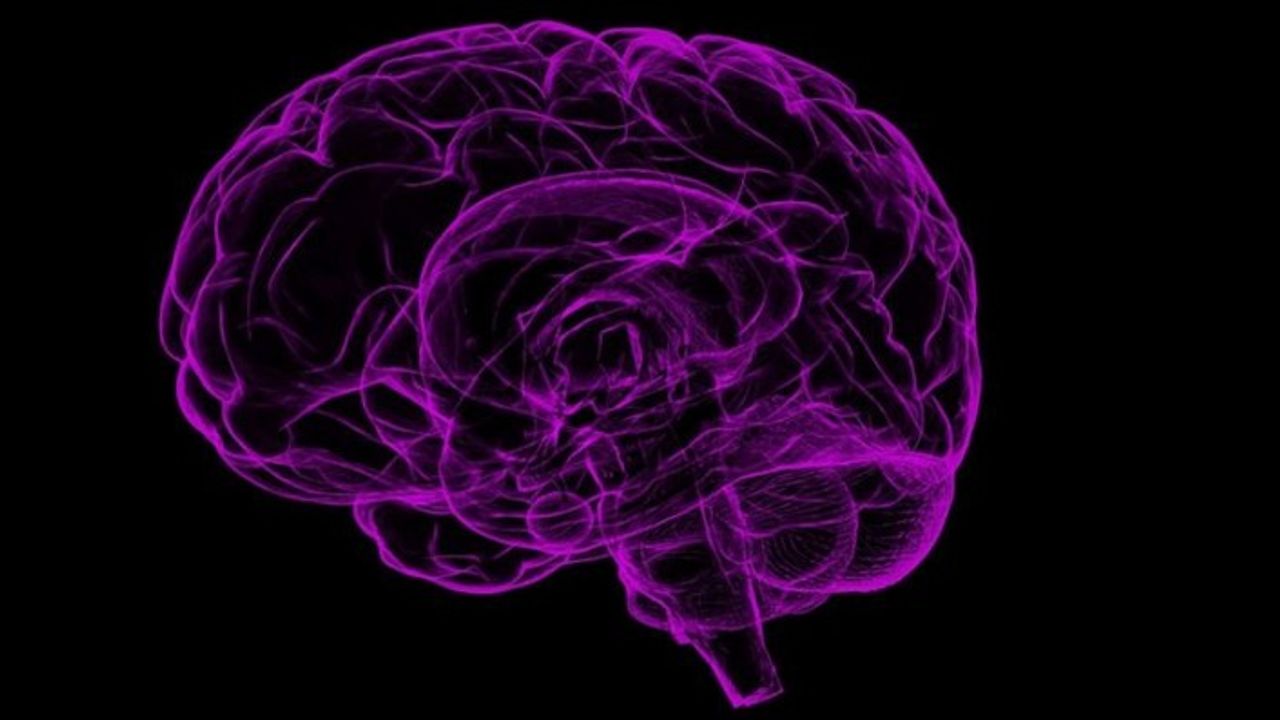 Epilepsi ile ilgili yanlış bilgiler tedavi sürecini zorlaştırabiliyor