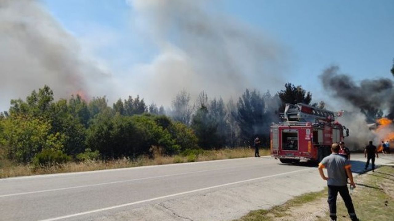 Balıkesir, Bursa, İzmir, Çanakkale: Türkiye'nin dört bir yanında ormanlar yanıyor