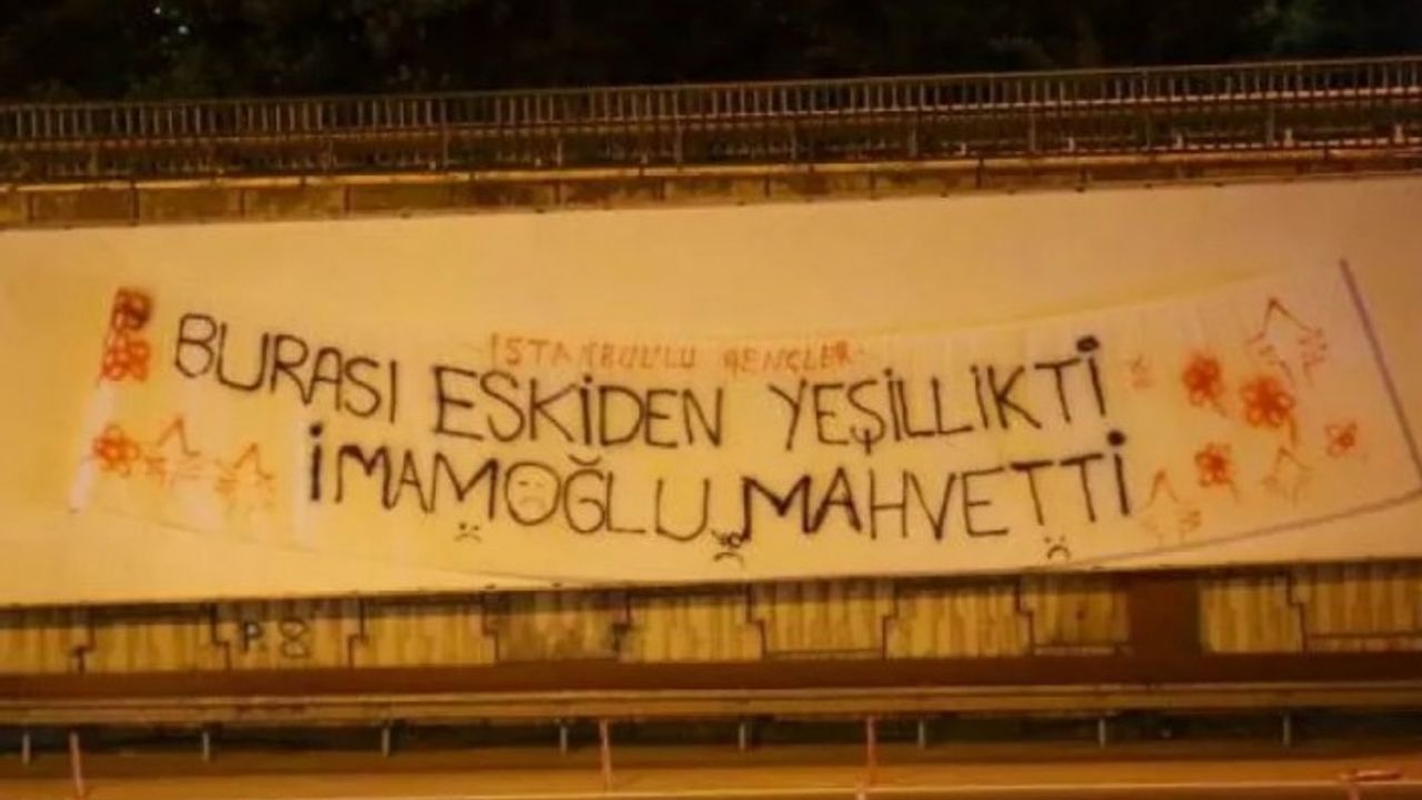 İstanbullu gençlerden İmamoğlu'na dikey bahçe tepkisi: Buralar eskiden yeşillikti!