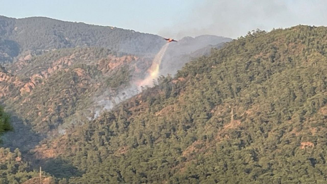 Marmaris'te otogarın arkasındaki ormanda yangın çıktı, THK uçakları devreye girince kontrol altına alındı