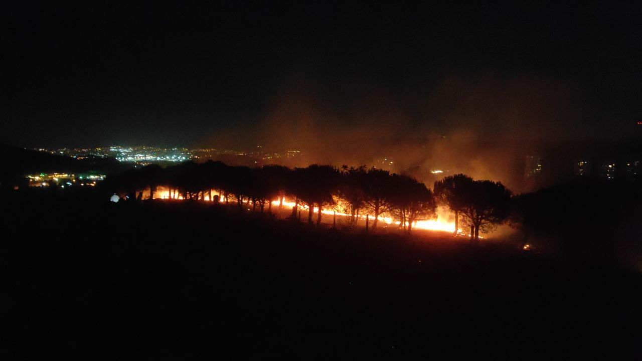 İstanbul'da orman yangını. Ekipler sevk edildi