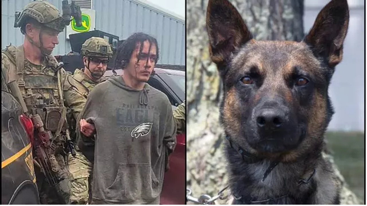 ABD'de süren insan avı sona erdi; K-9 polis köpeği  yakaladı