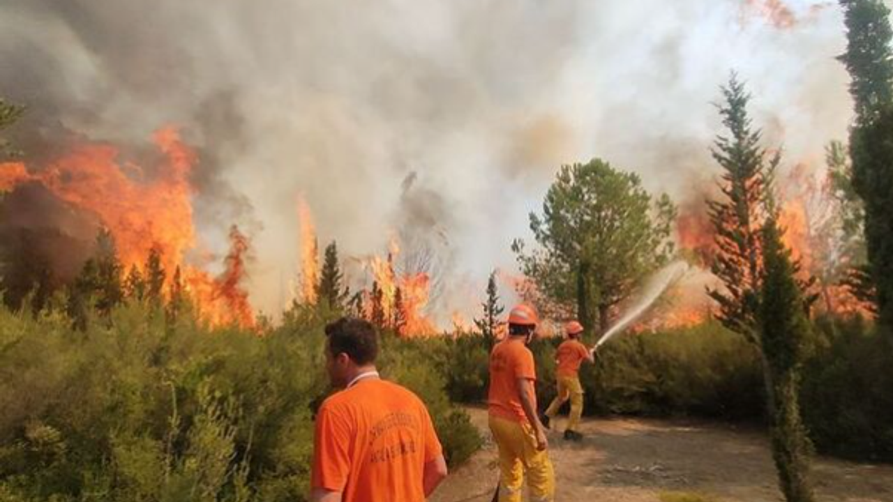 Antalya'da orman yangını! Rüzgarın etkisiyle teknelere kadar sıçradı