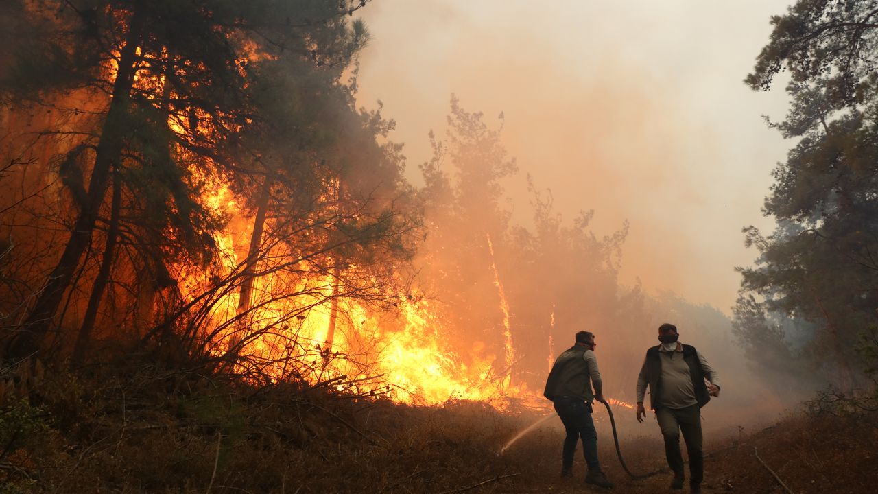 Çanakkale'de orman yangını. Giderek büyüyor. Evler boşaltılıyor