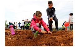 Marmaris'te yanan ormanlık alana 5 bin fidan daha dikildi