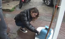 İzmir'de lağım faresine kalp masajı yapan kız gözyaşlarına engel olamadı