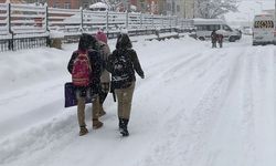 İstanbul'da şiddetli kar yağışı beklentisi nedeniyle eğitime bir gün ara verildi