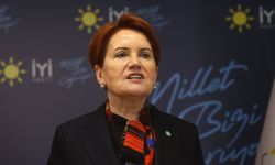 Akşener ne yapmak istiyor? İYİ Parti'nin seçim afişinde kriz çıkaracak detay