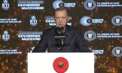 Erdoğan: Başka yöne bakmak bize haram