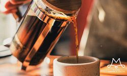 Filtre Kahve Sevenlerin Mutlaka Bilmesi Gerekenler
