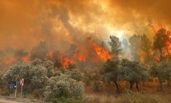 Muğla, Balıkesir, İzmir: Ormanlar yanıyor