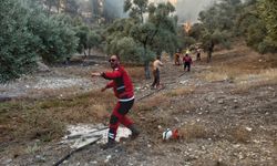 Milas'taki orman yangını büyüyor. Yerleşim alanlarına yaklaştı. İki mahalle tehdit altında