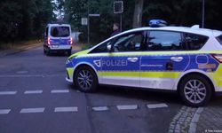 Berlin'de başıboş aslan geziyor. Polis halka 'Sokağa çıkmayın' dedi 