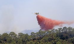 Fethiye'de orman yangını