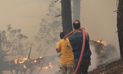 Bolu Göynük'te orman yangını sürüyor