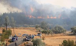 Milas'ta büyük yangın. Bodrum'a ilerliyor