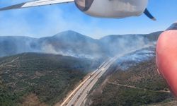 İzmir'de orman yangını. Çeşme Otoyolu ulaşıma kapatıldı