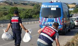 Çanakkale'de kaza: Ferhat Aslan öldü. Araçtan yüklü miktarda uyuşturucu çıktı