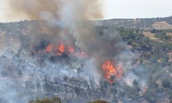 Çanakkale'de bir orman yangını daha. Bu kez de Ayvacık'ta