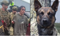 ABD'de süren insan avı sona erdi; K-9 polis köpeği  yakaladı