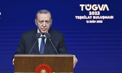 Cumhurbaşkanı Erdoğan: Ne işin var senin orada? Türkiye'nin SİHA'sını nasıl düşürürsün ya?