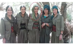 MİT'ten Irak'ın kuzeyinde operasyon! PKK’nın sözde alan sorumlusu etkisiz