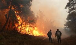 Çanakkale'de orman yangını. Giderek büyüyor. Evler boşaltılıyor