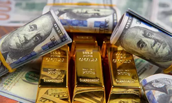 Dolar mı euro mu altın mı? Ünlü ekonomist en çok kazandıranı açıkladı