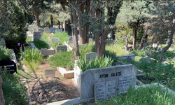 Eski boksör arkadaşı İkrami Güler'i döverek  öldürdü: Mezarlığa bıraktı!