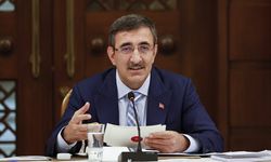 Cumhurbaşkanı Yardımcısı Cevdet Yılmaz'dan emeklilerle ilgili flaş açıklama