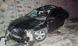 Otomobil ata çarptı: Metin Koçin öldü, 5 yaralı
