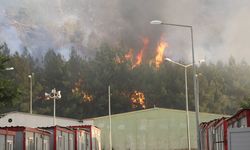 Gaziantep'te orman yangını. Suriyeliler tahliye edildi
