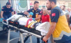 Şanlıurfa'da yüksek gerilim faciası! Ozan Baytug ve Fatih Baytug öldü,3 kişi ağır yaralı