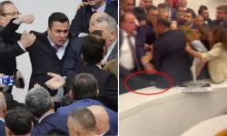 TBMM'de kayyum gerginliği! AK Partili Osman Gökçek, DEM Partili Şenyaşar'a tekme attı
