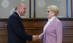 Cumhurbaşkanı Erdoğan'la Meral Akşener ne görüştü? Ortaya çıktı