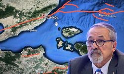 Marmara Denizi'ndeki deprem, büyük depremi tetikler mi? Naci Görür'den flaş açıklama