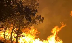 Adıyaman'da yıkıcı orman yangını devam ediyor