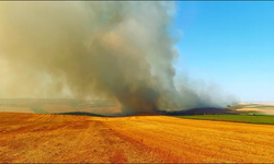 Tekirdağ'da anız yangını: 2 bin dönüm tarım alanında zarar!