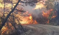 Adana Kozan yanıyor. Evler tahliye edildi