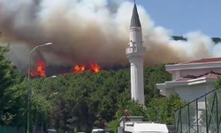 İstanbul'daki Aydos Ormanı'nda yangın!