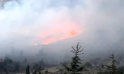 Üç ilde birden orman yangını çıktı. Ekipler müdahale ediyor