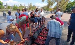 Antalya'da ejder meyvesi protestosu: Üreticiden ücretsiz dağıtım