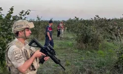 Hasat başladı: Tarladaki ürün milyonlarca lira değerinde! Jandarma başından ayrılmadı