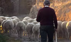 Yeni Bir Başlangıç: Küçük Şehirlerde Hayatın Avantajları ve Dezavantajları