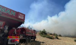 Kahramanmaraş'ta orman yangını çıktı! Ekipler müdahaleye başladı