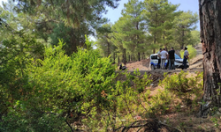 Muğla'da ormanda terk edilmiş bebek bulundu!