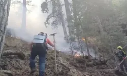 Denizli Karcı Dağı'ndaki orman yangını 3. gününde!