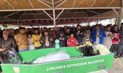 İstanbul’da cinayete kurban giden Şirin Elmas Hanilçi Şanlıurfa’da gözyaşlarıyla uğurlandı!