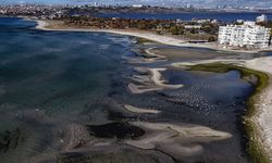 Balıkçılar avlanmaya çıkamadı: İstanbul’da deniz suyu çekildi