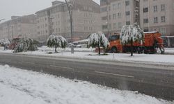 Bitlis’te kar yağışı: 84 yol ulaşıma kapandı